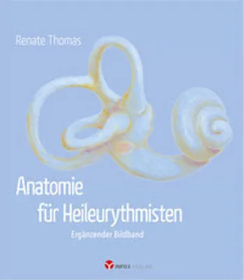 Produktbild von Anatomie für Heileurythmisten
