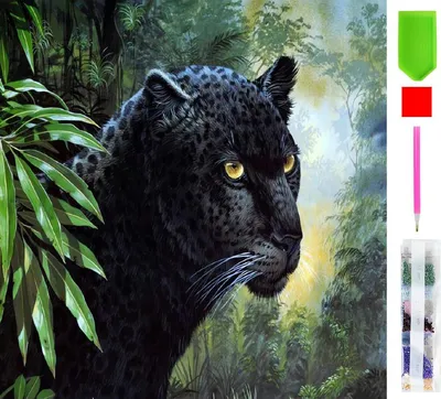 Produktbild von RealG RC-K-052 Diamantmalerei-Set 5D, 30 × 30 cm, Puma