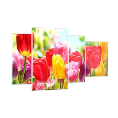 Produktbild von Bilder auf glas - Tulpe Blume Garten Plantage - 120x70cm - Glasbilder - Wandbilder - Kunstdruck - zum Aufhängen bereit - Wanddekoration aus Glas - Glas Bilder - Wandbild auf Glas - GDL120x70-2466
