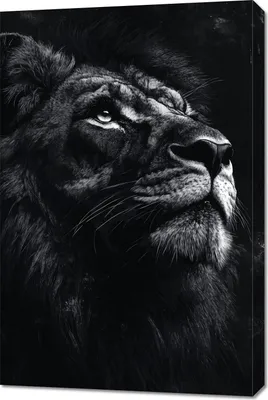 Immagine prodotto di Quadro 60x90 cm Ritratto di animali per il salotto | Leone | Bianco e nero