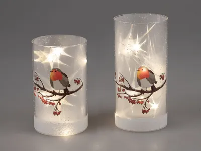 Produktbild von 2er Set LED Deko Lampen WINTERVOGEL Zylinder 15 + 20cm weiß aus Glas Formano W25
