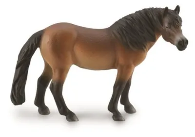Immagine prodotto di COLLECTA Stallone Pony dell'Exmoor