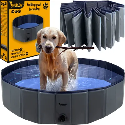 A collage showing a dog in a pool, the product packaging, and a folded pool.