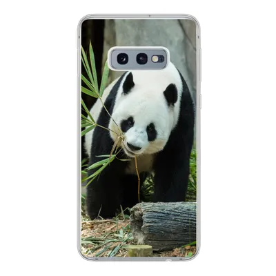 Produktbild von MuchoWow® Handyhülle Schutzhülle Hülle für Samsung Galaxy S10e Panda - Baumstamm - Höhle Silikon Softcase Handy Hülle - Handy