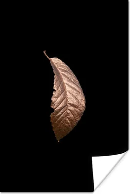 Produktbild von MuchoWow® Poster Blätter - Roségold - Schwarz 80x120 cm - Papierdruck