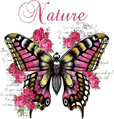 Produktbild von Schmetterling, Natur, Rosen, Blumen, zum Aufbügeln