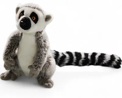 Zdjęcie produktu dla Carl Dick Katta, lemur siedzący szary ok. 21cm, 33cm z ogonem 2673 przytulanka, miękka zabawka, pluszak