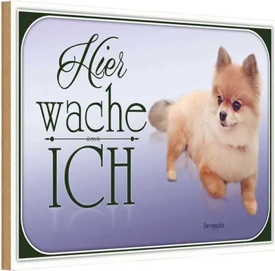 Produktbild von vianmo Holzschild 20x30 cm Hund Zwergspitz hier wache ich Tier Haustier