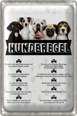 Produktbild von Blechschild Spruch 20x30cm Hunderegel lass mich raus