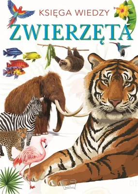 Zdjęcie produktu dla Książka edukacyjna dla dzieci - Zwierzęta