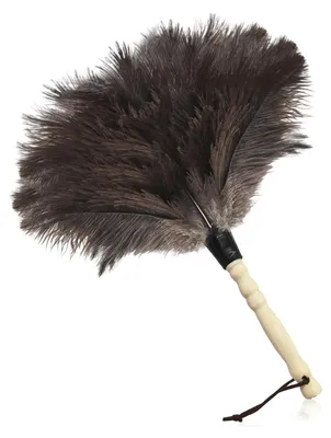 Strußvogelfeder-Staubwedel, Holzgriff, antistatisch, 33 cm