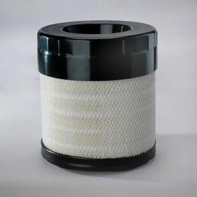 Image de Filtre À Air Donaldson P783543