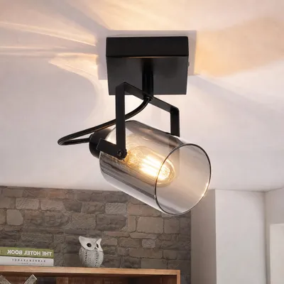 Produktbild von ZMH Deckenstrahler 1 Flammig Vintage E14 Deckenleuchte Rauchgrau Glas Retro Deckenspot Grau für Schlafzimmer Flur Küche Wohnzimmer(Ohne Lichtquelle)