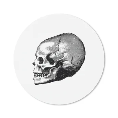 Produktbild von MuchoWow® Mauspad Mousepad Vintage - Totenkopf - Retro 40x40 cm - Mousepads - Maus Mat - Pad - Mausunterlage - Schreibtisch Accessoires