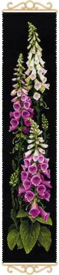 Obrázek produktu pro Riolis počítaný krížikový steh Kit Foxgloves