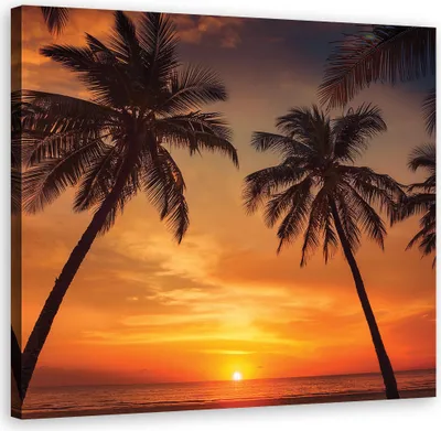 Produktbild von Leinwandbild Tropisches Meer Palmen 60x60 Feeby Orange bild für die wand bereit zum aufhängen