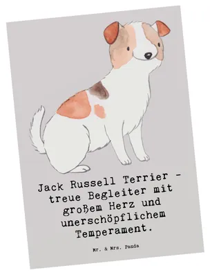 Produktbild von Mr. & Mrs. Panda Grußkarte Jack Russell Terrier - Grau Pastell - Geschenk, treuer Hund, Fotokarte, Hunderasse, Loyalität, Hundeliebhaber, intelligenter, Ansichtskarte