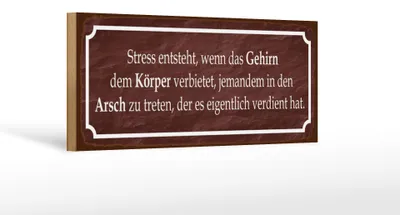 Produktbild von Holzschild Spruch 27x10cm Stress entsteht wenn das Gehirn