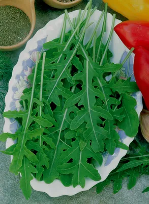 Produktbild von Divoká rukola Rucola selvatica