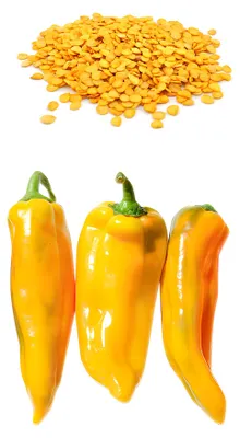Produktbild von Corno Di Toro Giallo Chili Samen, 10 Stk.