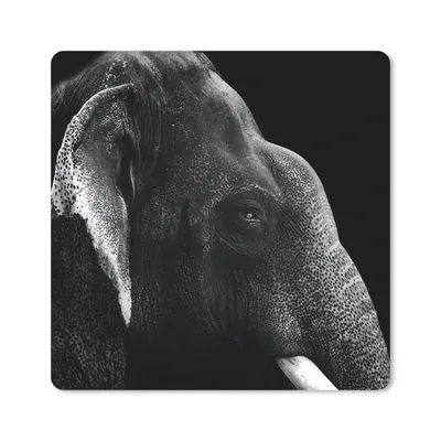 Produktbild von MuchoWow® Mauspad Mousepad Elefant auf schwarzem Hintergrund in schwarz und weiß 20x20 cm - Mousepads - Maus Mat - Pad - Mausunterlage - Desk Mat - Bureauartikeln