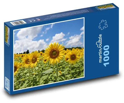 Produktbild von Puzzle 1000 Blühendes Sonnenblumenfeld - martinpuzzle