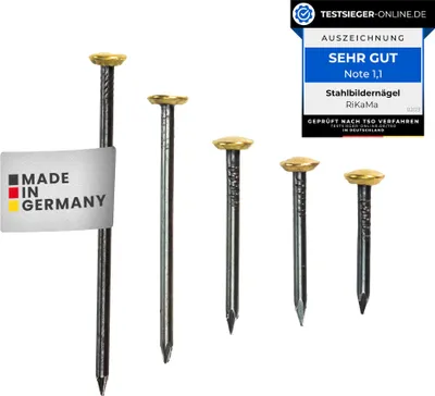 Produktbild von RIKAMA–50 Bildernägel im Mix aus 5 verschiedenen Längen Stahlnägel mit 6 mm Messingkopf