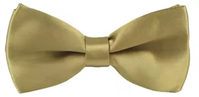 Productafbeelding van Gouden vlinderdas - Champagnekleurige vlinderdas - Gouden das - Goud - Vlinderdas - Vooraf gestrikt - Satin - CHPN