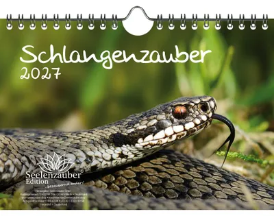 Produktbild von Schlangenzauber DIN A5 Kalender für 2027 - Seelenzauber