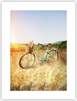 Produktbild von Poster - Poster ohne Rahmen - Fahrrad Wiese Blumen - 30x40 cm - Wand Bild - Wanddeko - Wandbilder - Kunstposter - Wandposter - Bilder - Kunstdruck - Wanddekoration - Wandbild - P2XPA30x40-4206
