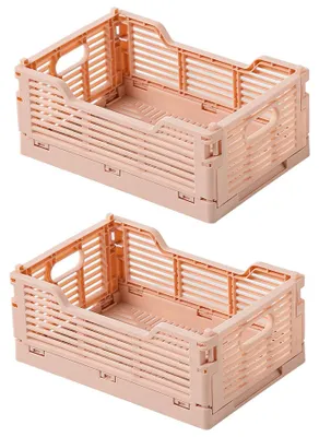 Immagine prodotto di Set di 2 contenitori pieghevoli rosa