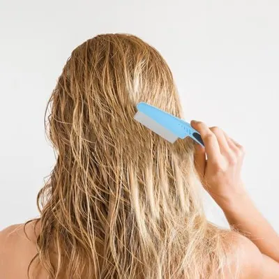 Produktbild von Feiner Haarkamm mit ergonomischem Griff, 2 Stück aus Edelstahl zur Schuppenentfernung für Haustiere und verschiedene Haartypen