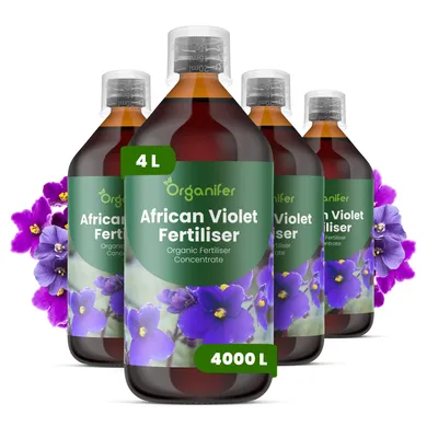 Produktbild von Afrikanisches Veilchen Flüssigdünger 4x1L – 3-4-3 NPK – Flüssigdünger Zimmerpflanzen – Für Üppige Blüten & Kräftige Blätter – Organifer