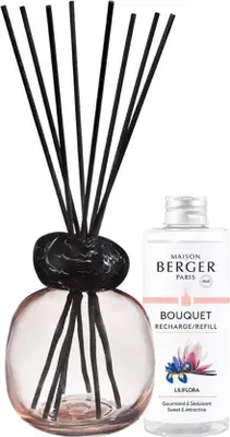 Productafbeelding van Maison Berger Paris MB7831, geurverspreider met navulling, stokjesdiffuser