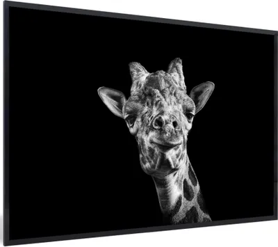 Produktbild von MuchoWow® MuchoWow® Gerahmtes Poster Giraffe - Tier - Schwarz - Weiß 60x40 cm - Poster mit zchwarzem Bilderrahmen - Printing - Wanddeko Schlafzimmer