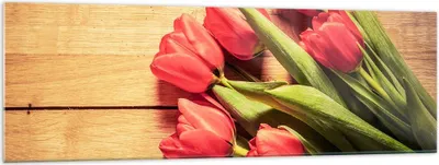 Produktbild von Bilder auf glas - Tulpen Blumenstrauß Sommer Garten - 160x50cm - Glasbilder - Wandbilder - Kunstdruck - Wanddekoration aus Glas - Glas Bilder - Wandbild auf Glas - GAB160x50-2867