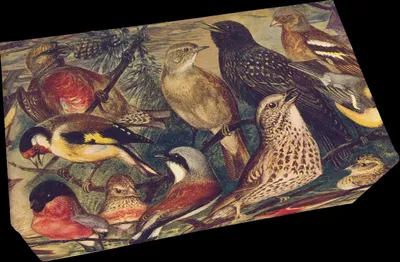 Produktbild von Geschenkseife Birds, 200 g