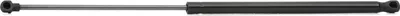 Produktbild von RIDEX 219G0357 Gasfeder Heckklappendämpfer für FIAT Seicento / 600 Schrägheck (187) 569mm