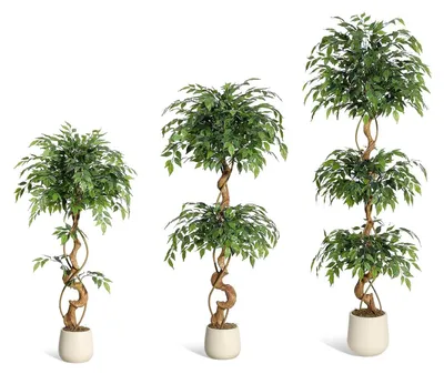 Immagine prodotto di Albero di ficus artificiale, design resistente, non richiede manutenzione, verde, 180 cm