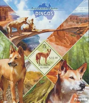Produktbild von Briefmarken Salomoninseln 2013 Mi Block 183 (kompl. Ausg.) postfrisch Dingos
