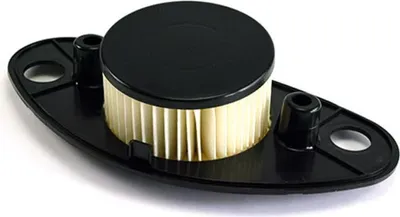 Produktbild von Luftfilter Für Suzuki Vl 800 Intruder '05-15 (C800) (20)