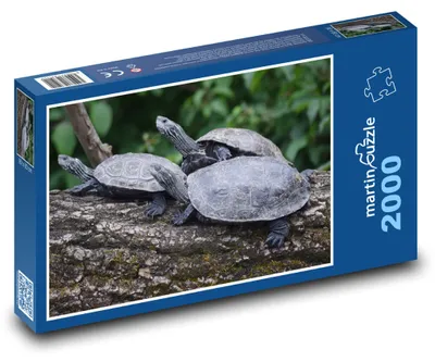 Zdjęcie produktu dla Puzzle 2000 Żółwie w naturze - martinpuzzle