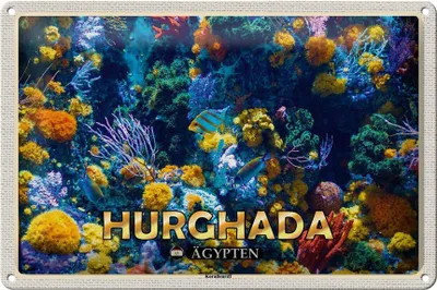 Produktbild von Blechschild Reise 30x20cm Hurghada Ägypten Korallenriff Fische