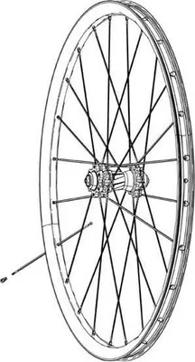 Zdjęcie produktu dla Zipp Zawory bezdętkowe Presta 88 Mm Srebrny Srebrny Jeden rozmiar