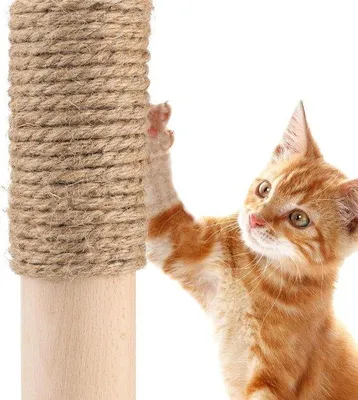 Immagine prodotto di Set in juta composto da 2 pezzi di corda in sisal naturale da 6 mm per tiragraffi fai da te