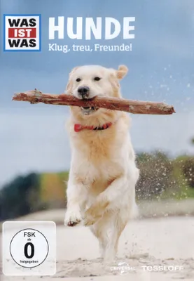 Produktbild von Was ist was TV - Hunde