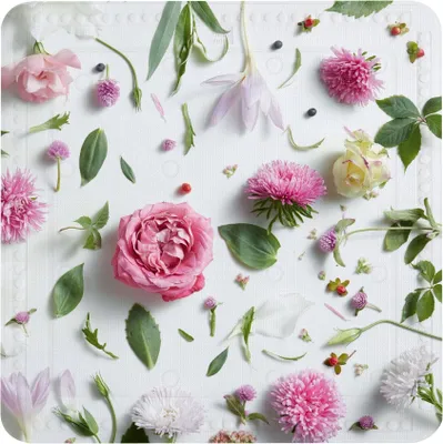 Produktbild von Kleine Wolke Duscheinlage ROSALIE Multicolor 55 x 55 cm
