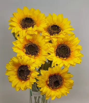 Produktbild von 6er Set künstliche Sonnenblume mit großer XXL Blüte gelb H. 82cm D. 20cm Emerald