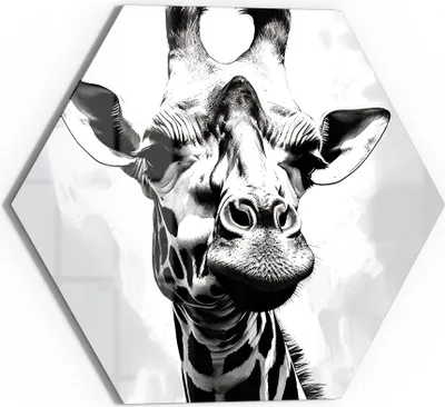 Produktbild von DEQOART Glasbild Echtglas 55x48 cm 'Monochromer Giraffenblick' Wandbild Bild modern Deko