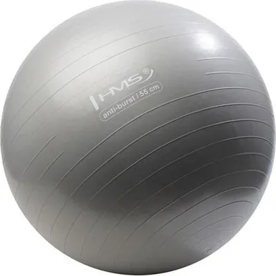 Immagine prodotto di Palla da ginnastica HMS YB02 55 cm grigio
